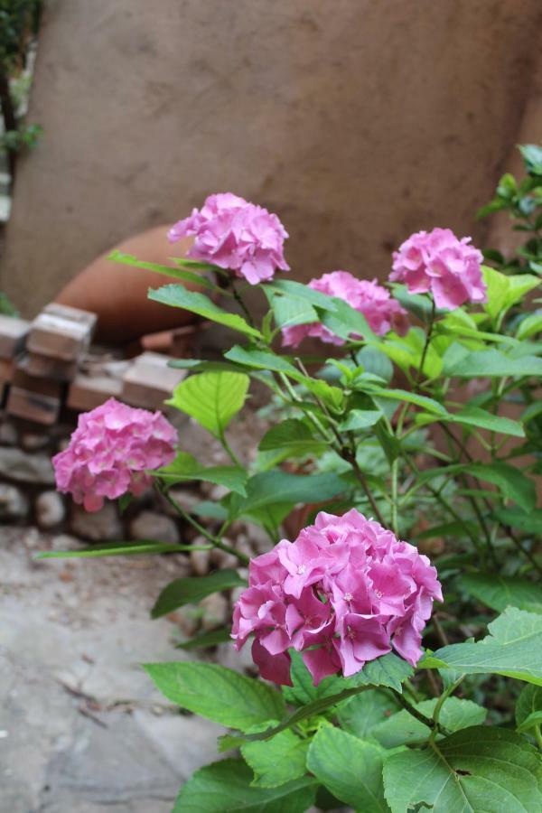 Il Giardino Dei Fiori Apartment Mandello del Lario Bagian luar foto